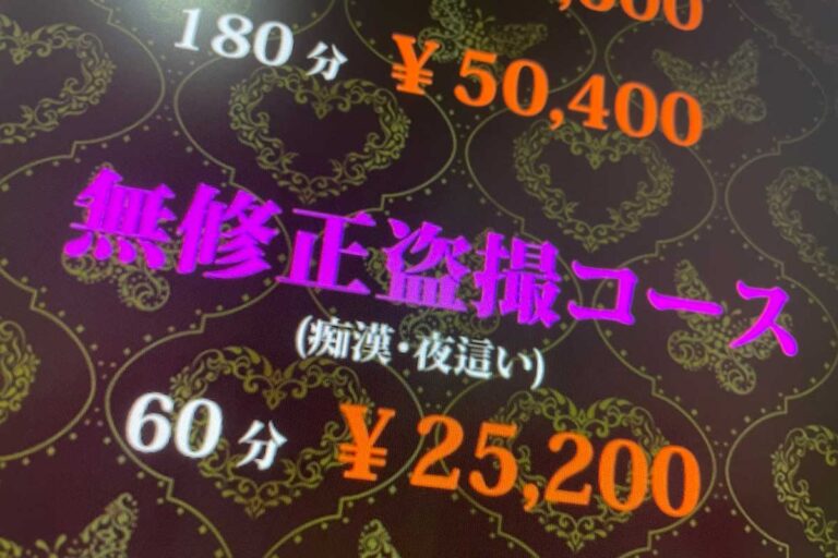 ガッツリ痴漢倶楽部料金